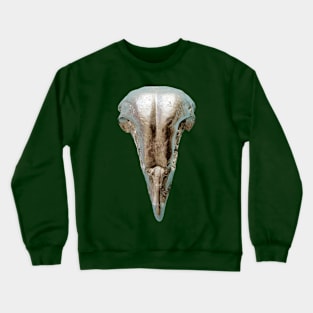 Metal model of a Barn Owl Skull Crewneck Sweatshirt